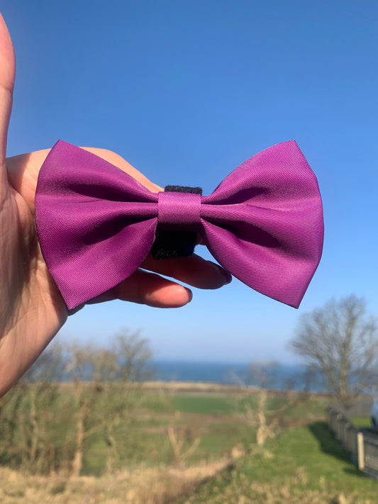 Bow Collar Accessory Magenta Purple