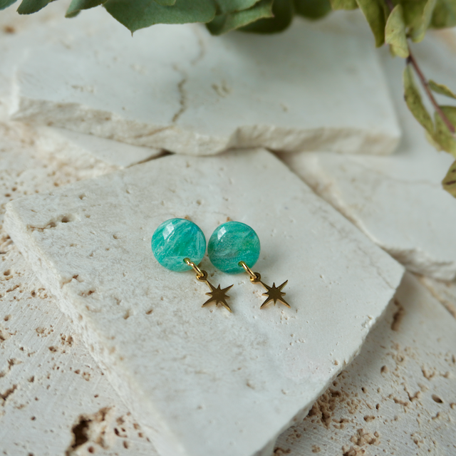 Precious Mini Charm Stud (Star)