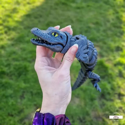 Alligator