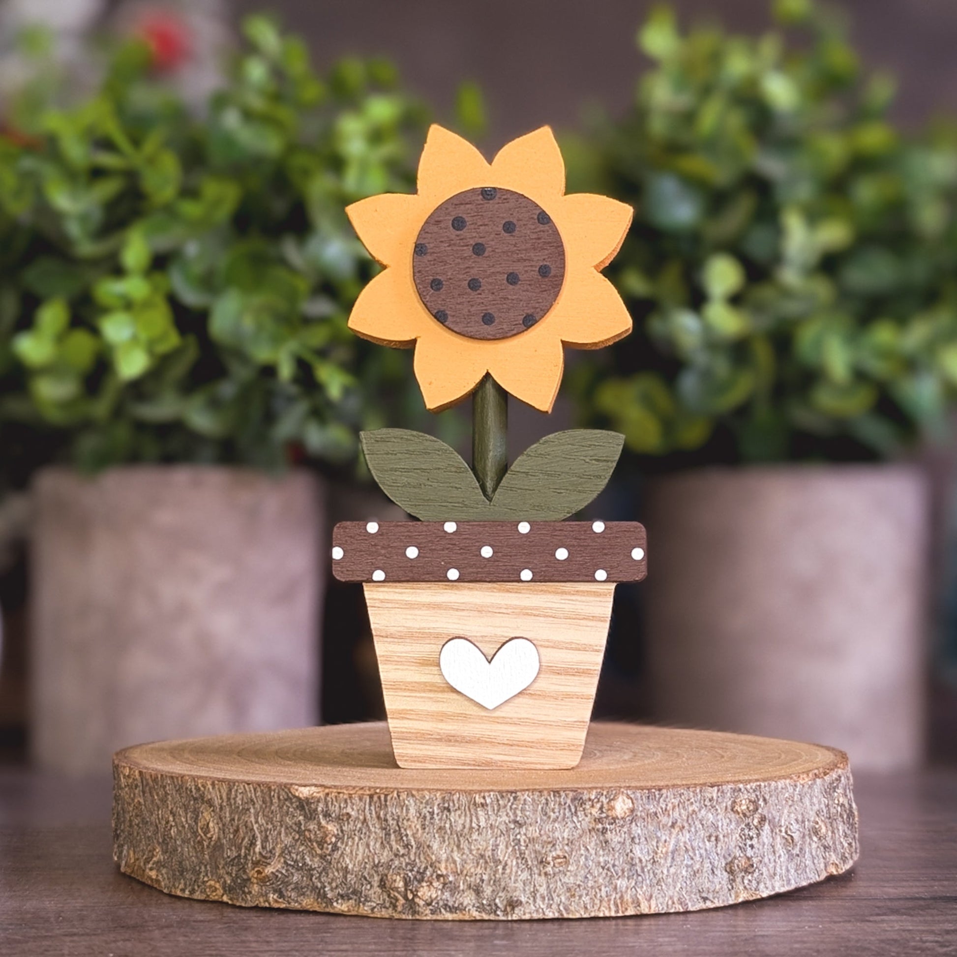 Potted sunflower