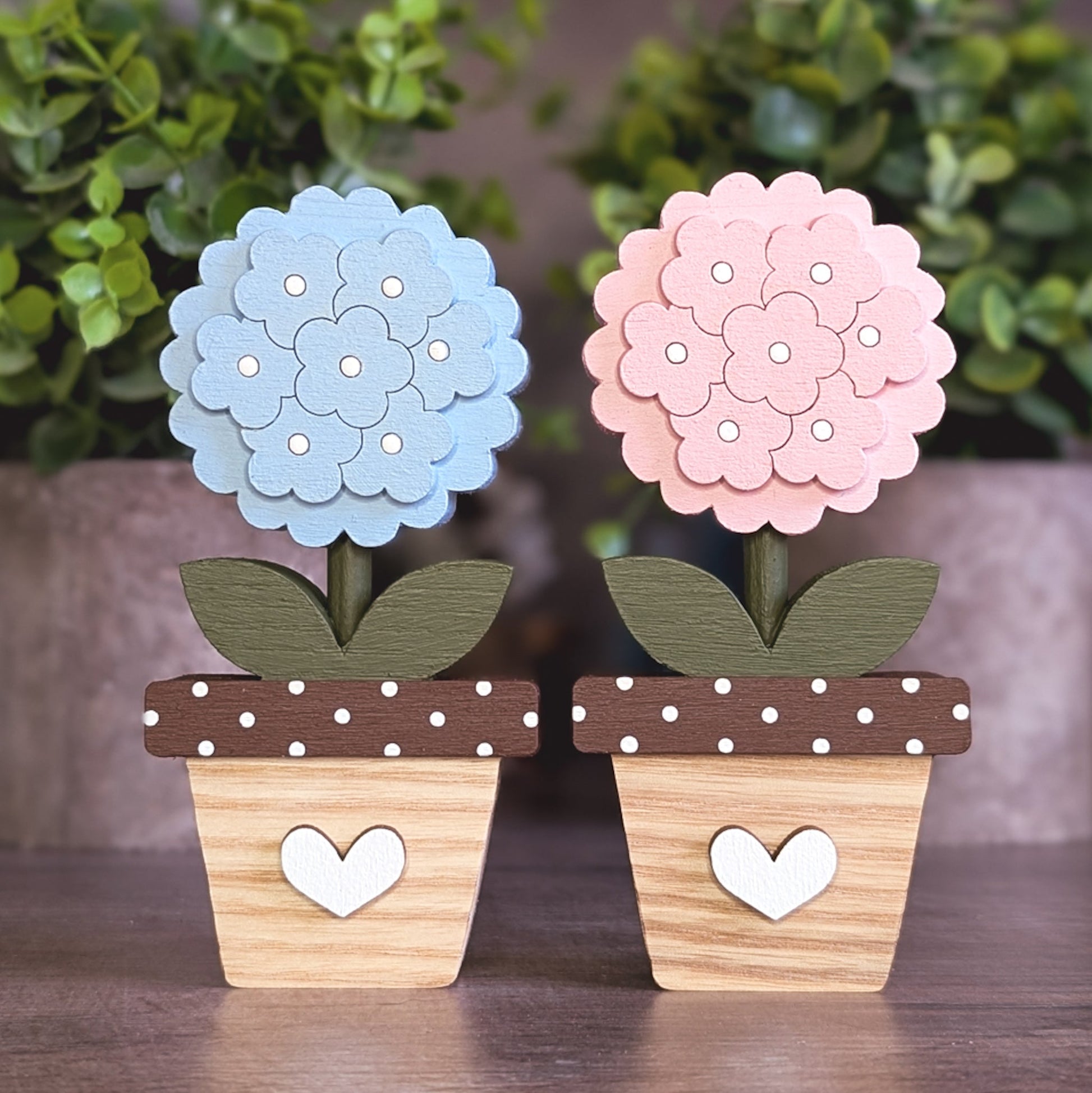 Potted Hydrangea
