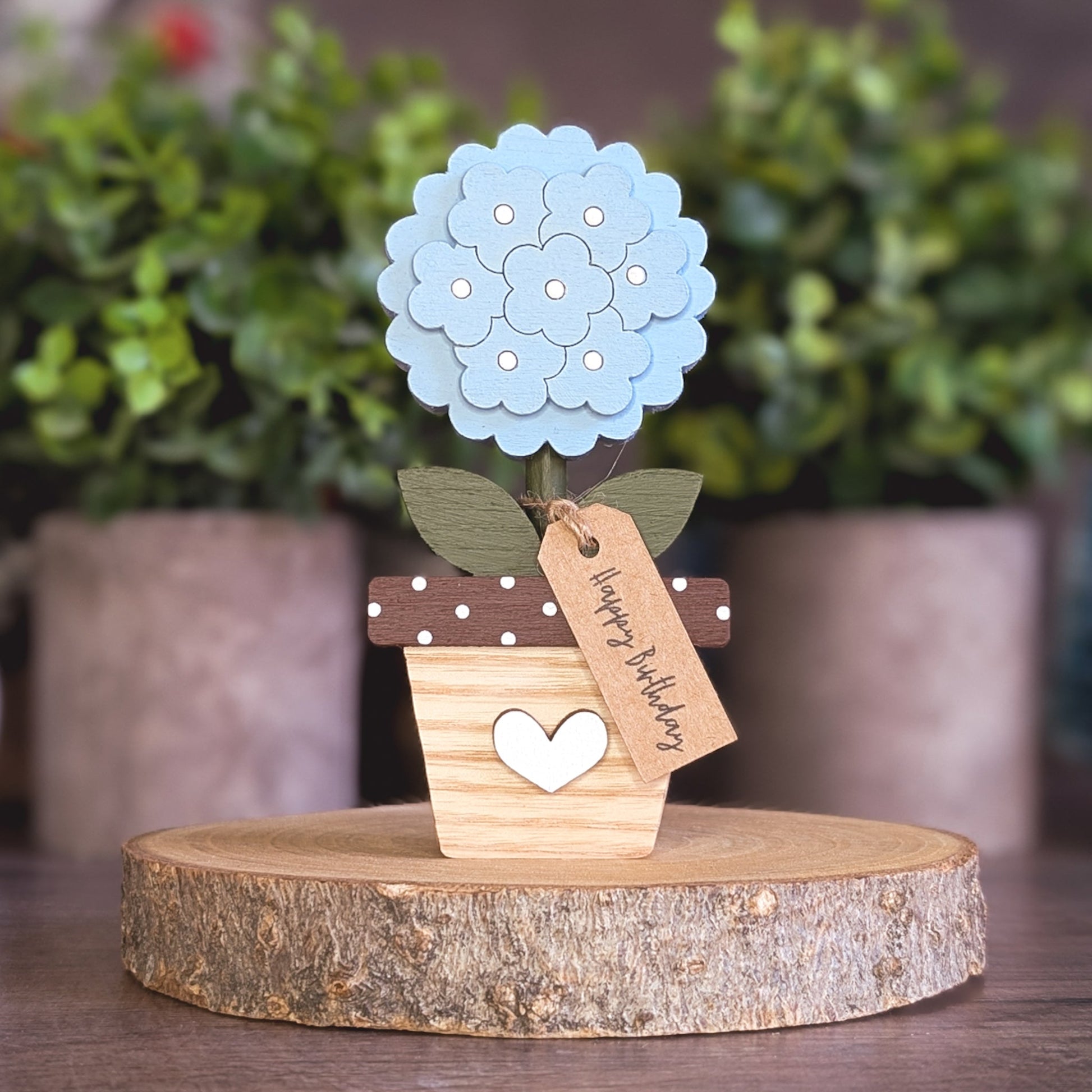 Potted Hydrangea Blue