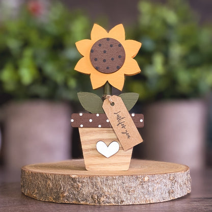 Potted sunflower