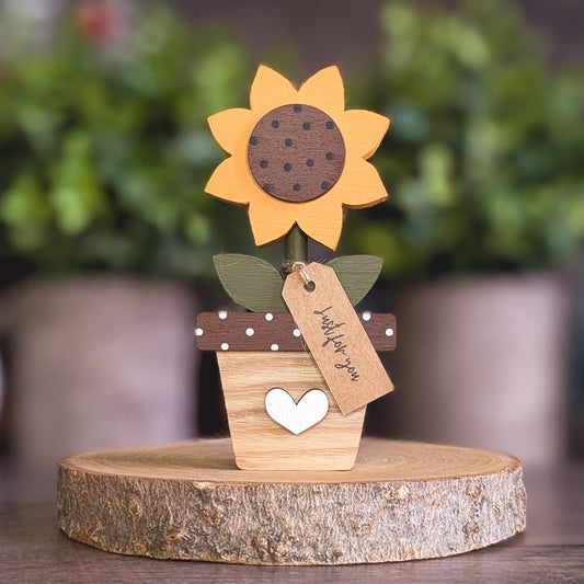 Potted sunflower