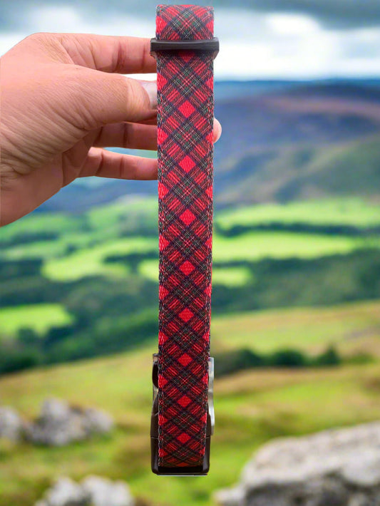 Royal Stewart Tartan Collar