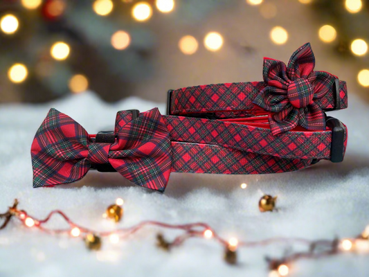 Royal Stewart Tartan Collar