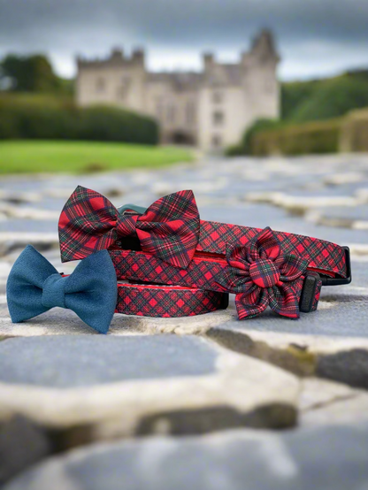 Royal Stewart Tartan Collar