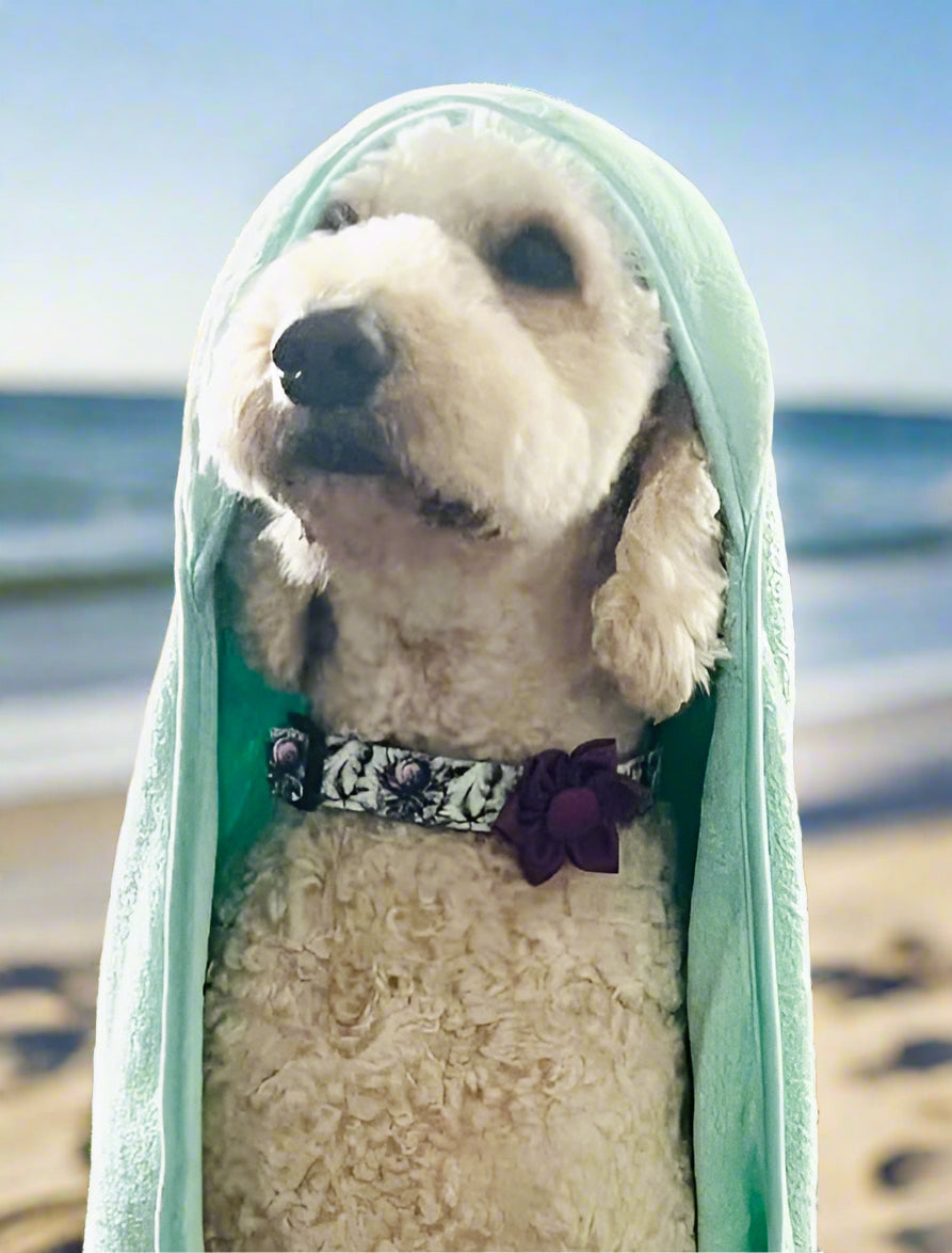 Sustainable Dog Travel and Bath Towel with Carry Bag