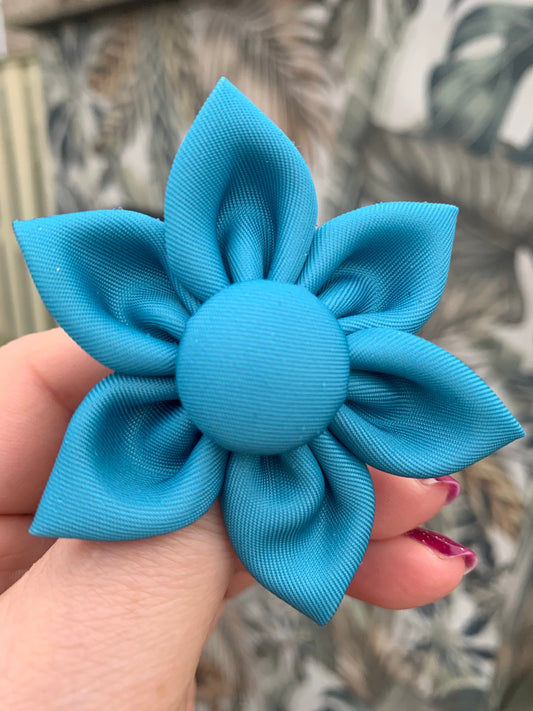 Flower Pet Collar Accessory Turquoise Blue