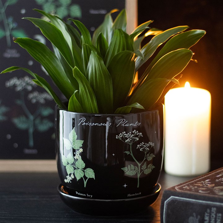 Plant Pot – Poisonous Plants Ceramic Plant Pot
