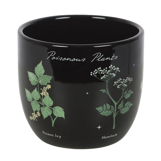 Plant Pot – Poisonous Plants Ceramic Plant Pot
