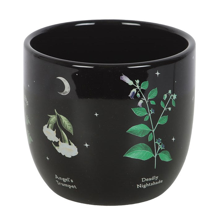 Plant Pot – Poisonous Plants Ceramic Plant Pot