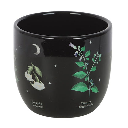 Plant Pot – Poisonous Plants Ceramic Plant Pot