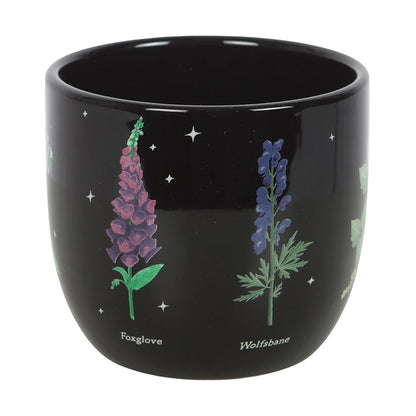 Plant Pot – Poisonous Plants Ceramic Plant Pot