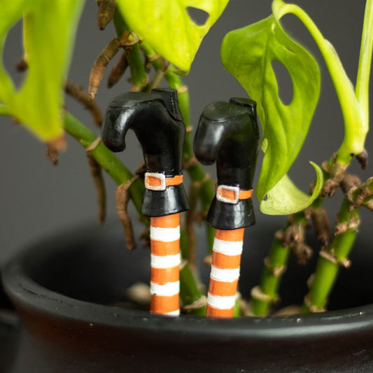 Wicked Witch Leg Plant Pot Ornaments