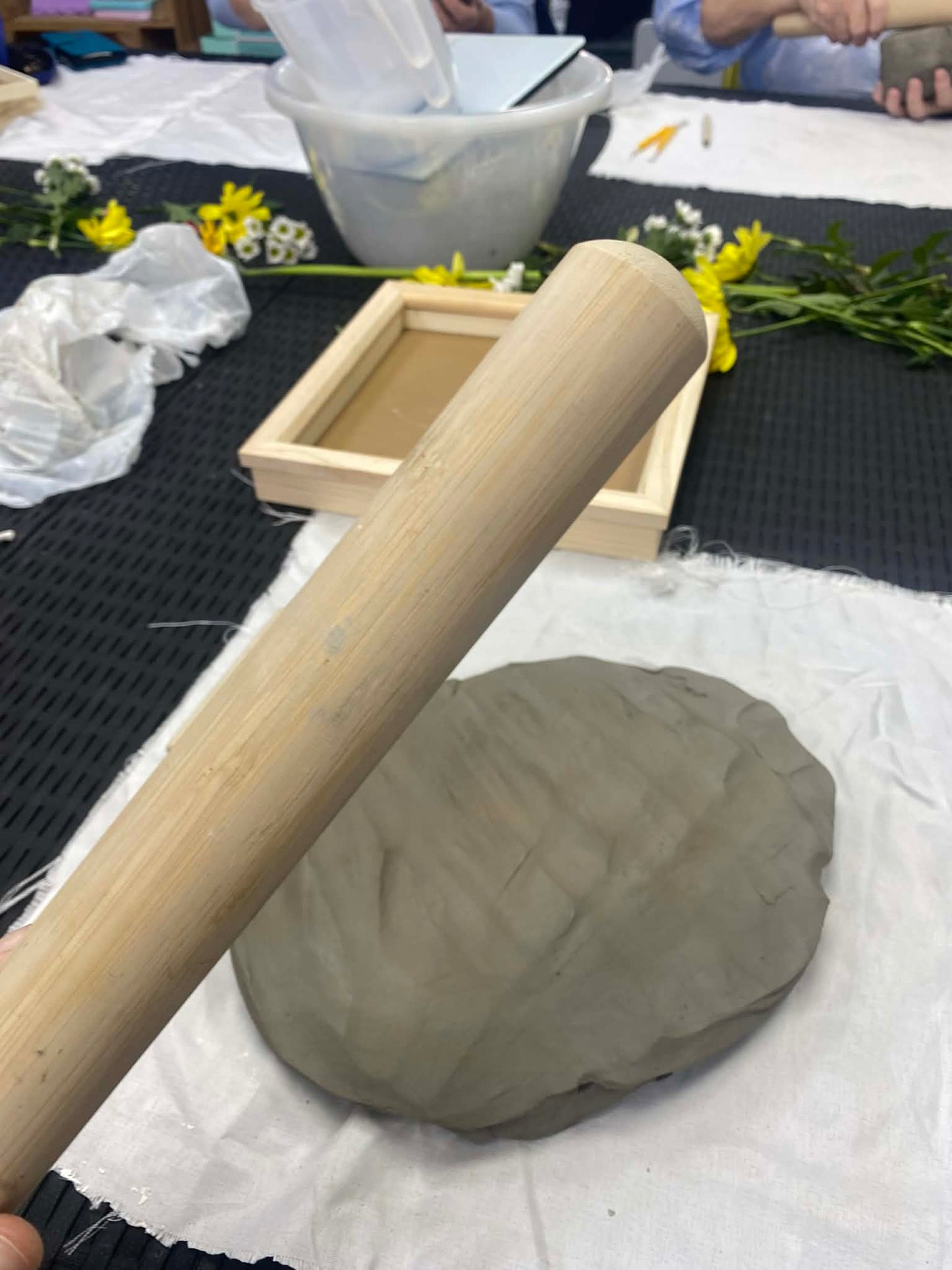Plaster Casting Botanical Workshop Saturday 25th July