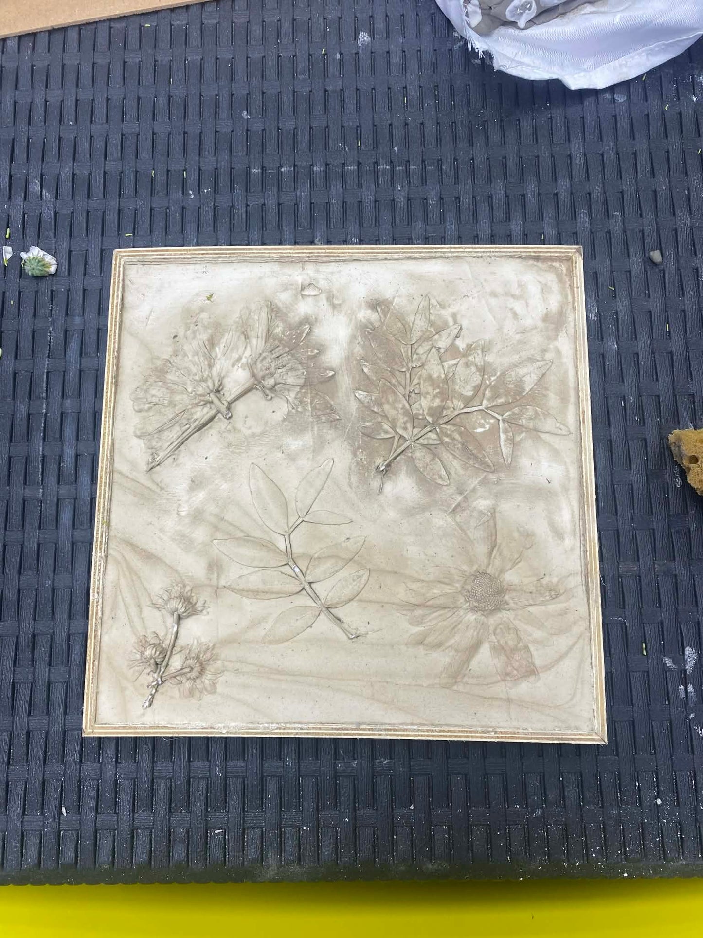Plaster Casting Botanical Workshop Saturday 25th July