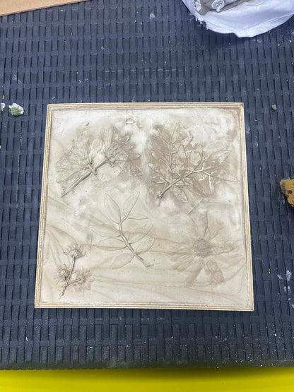 Plaster Casting Botanical Workshop Saturday 25th July