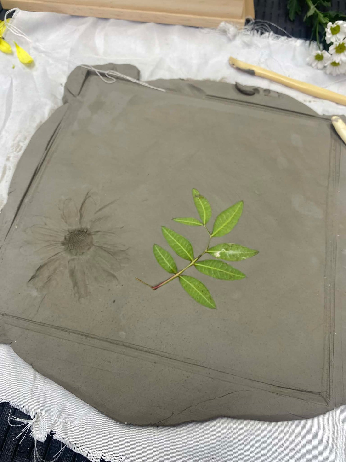 Plaster Casting Botanical Workshop Saturday 25th July