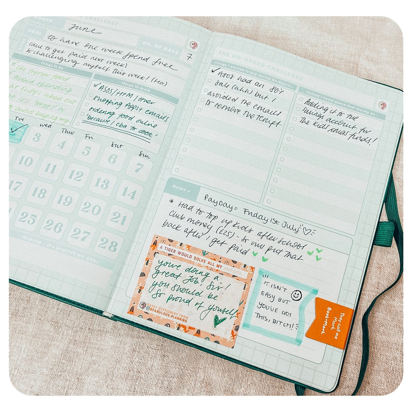 Budget - Deluxe Life Journal