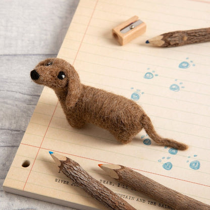 Dachshund Dog Needle Felting Kit for Beginners