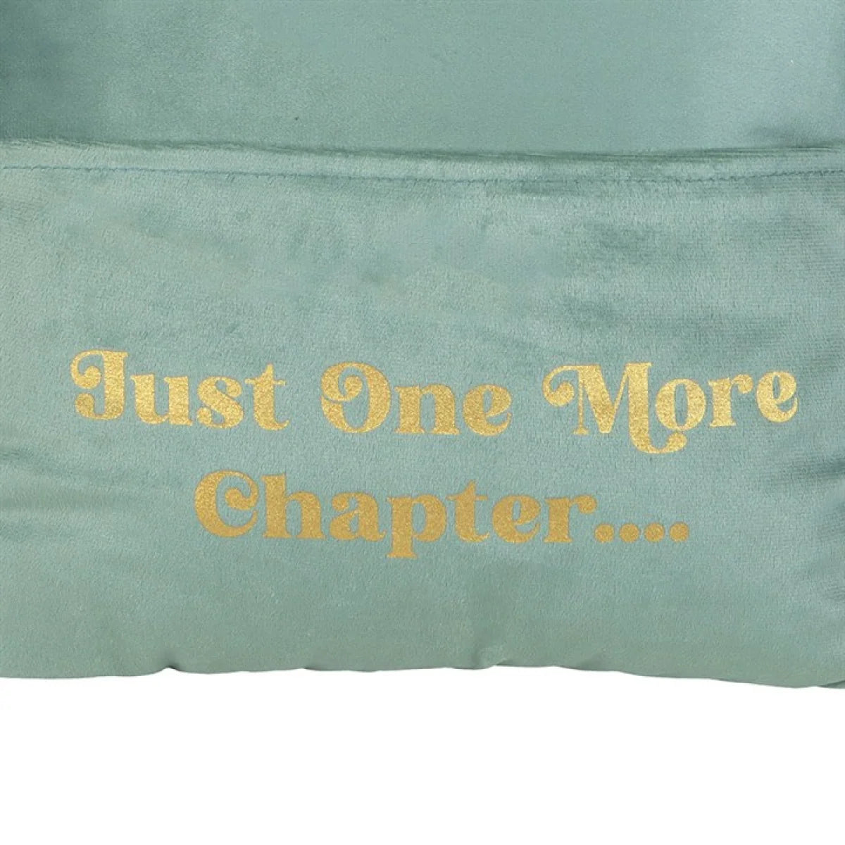 Cushion with Book Pocket: Just One More Chapter