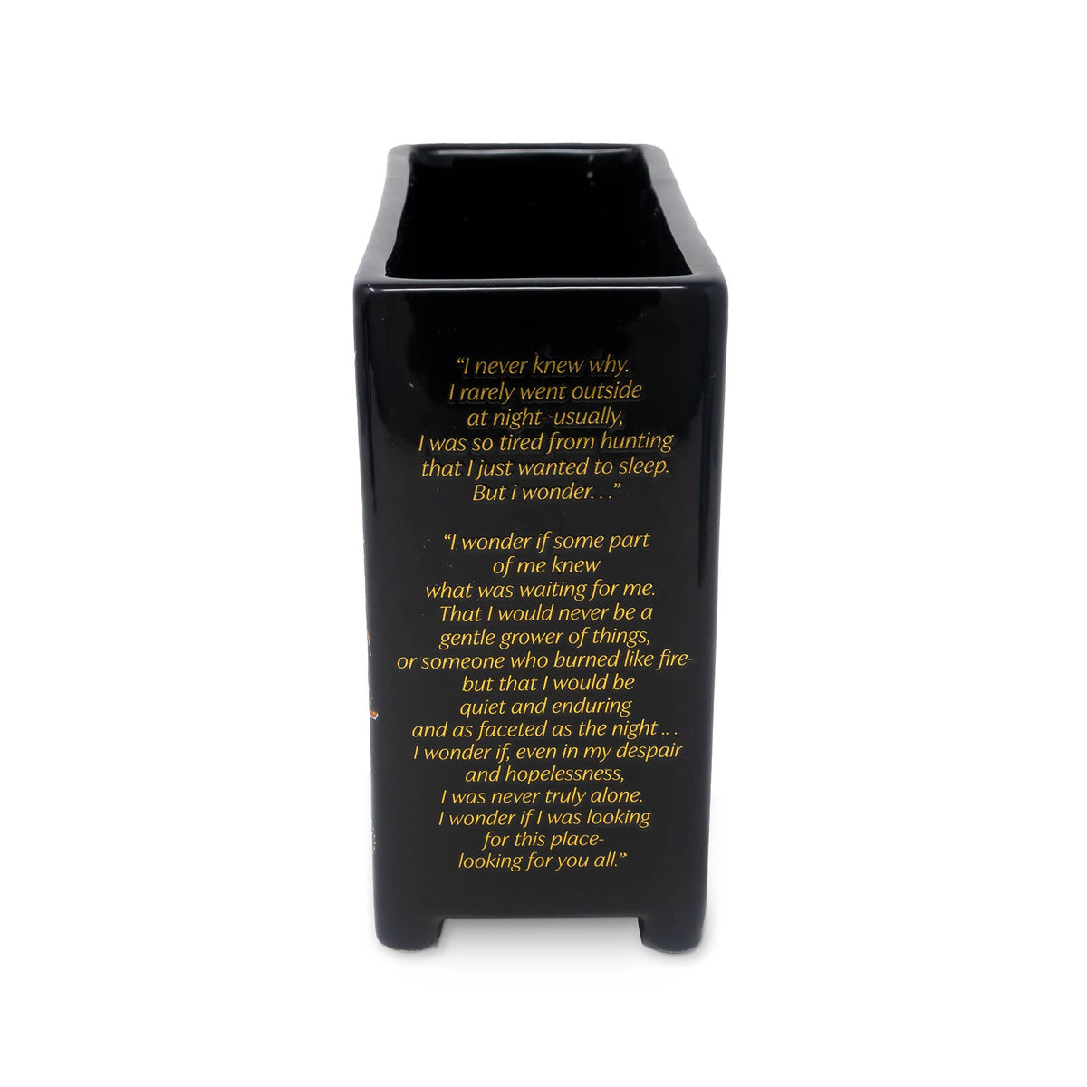 A Court of Thorns and Roses Vase | Feyre's Painted Dresser