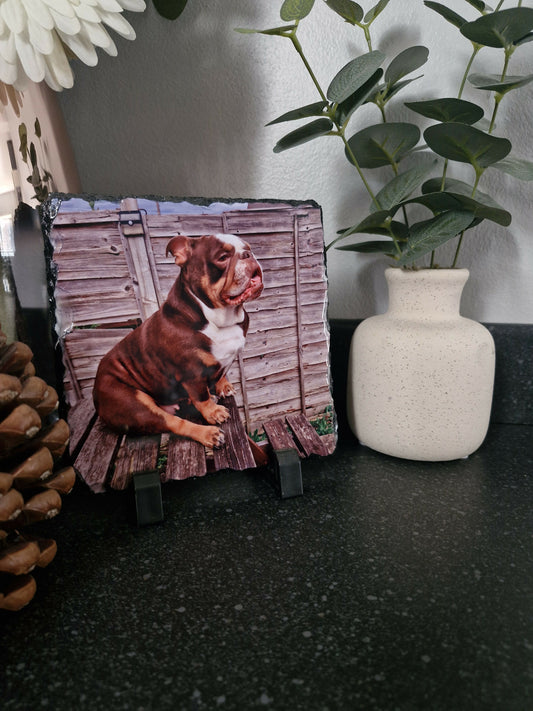 15x15 r stella slate 2
