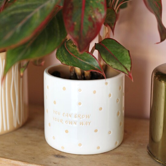 Planter Grow Your Own Way