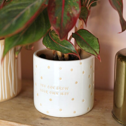 Planter Grow Your Own Way