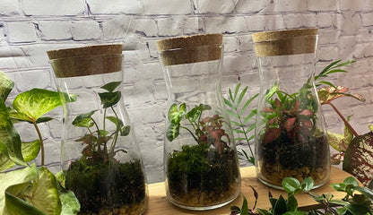 🌿✨ CREATE YOUR OWN TERRARIUM WORKSHOP Saturday, 24th October ✨🌿