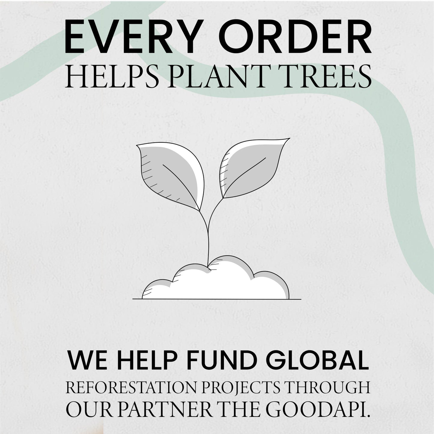 Birthday Card For Him or Her Of A Siamese Cat Illustration For Him or Her Birthday Gift