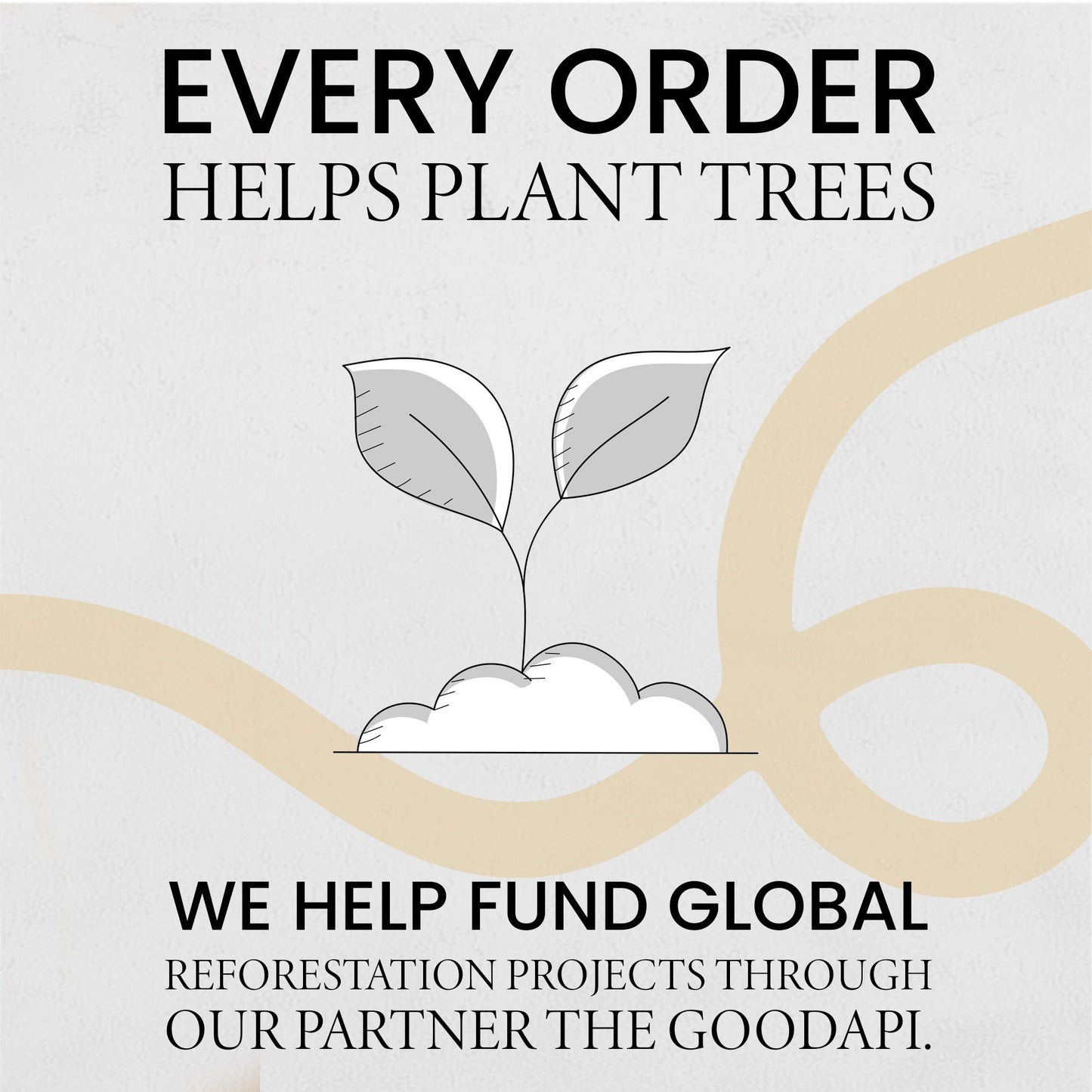 Birthday Card For Him or Her Of A Ragdoll Cat Illustration For Him or Her Birthday Gift