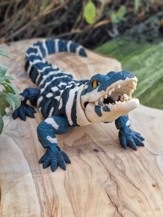 Alligator Multicolour