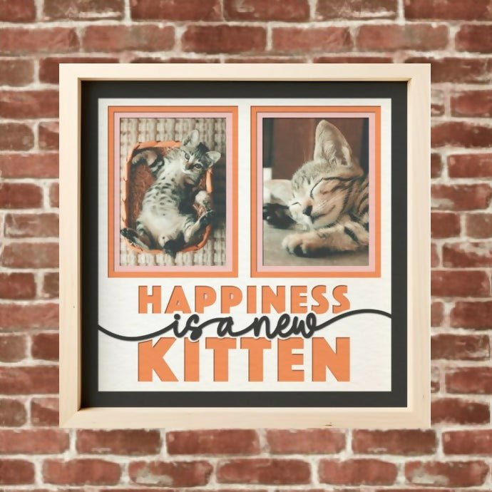 New Kitten - Forever After Boutique