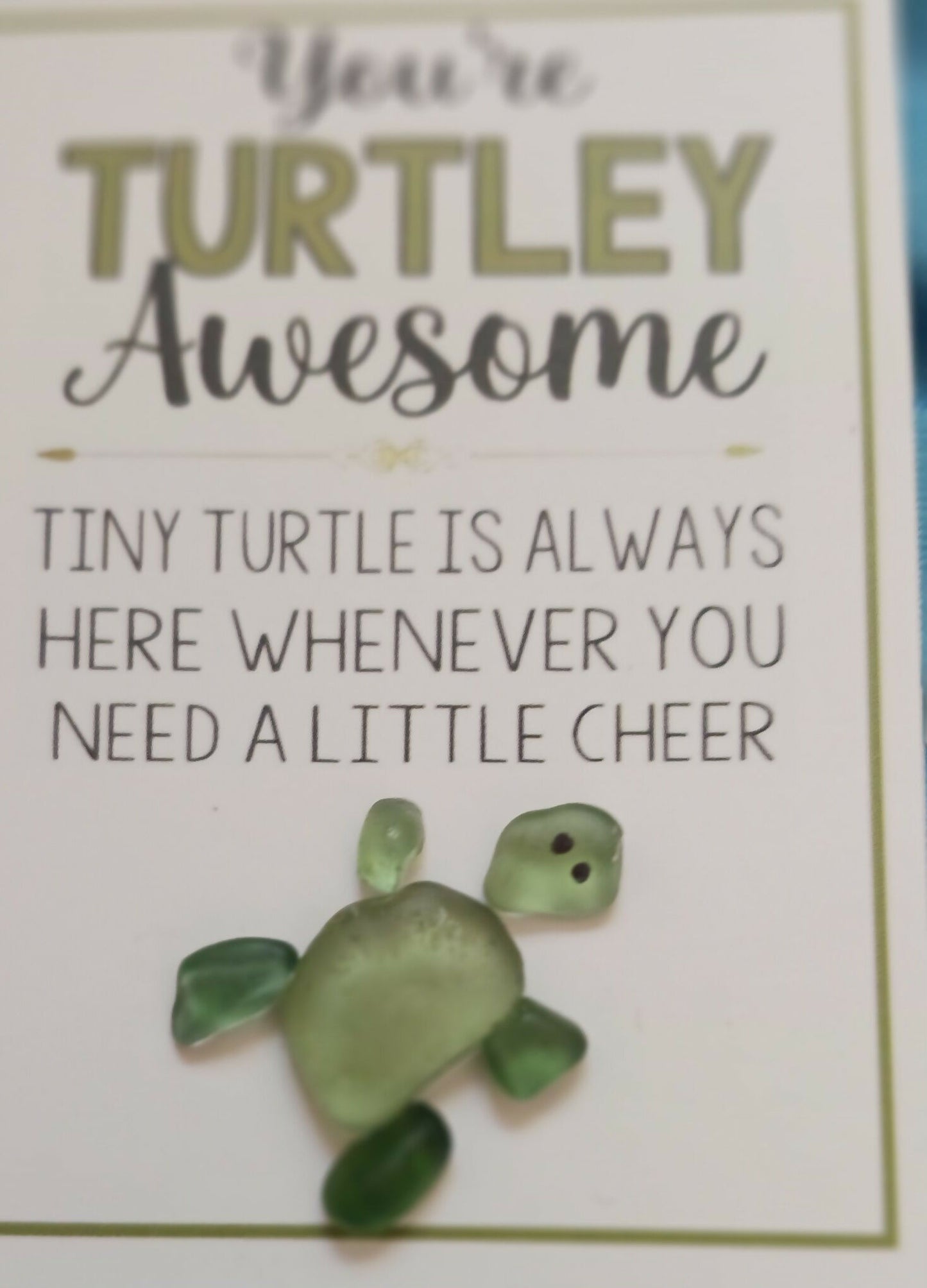 Sea Glass Turtle Pocket Hug