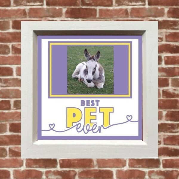 Pet collage picture frame - Forever After Boutique