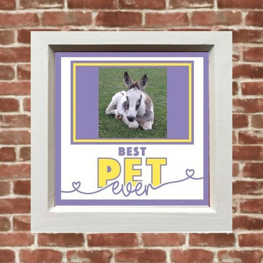 Pet collage picture frame - Forever After Boutique