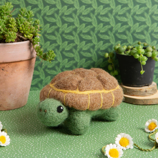Tortoise Needle Felting Kit for Beginners