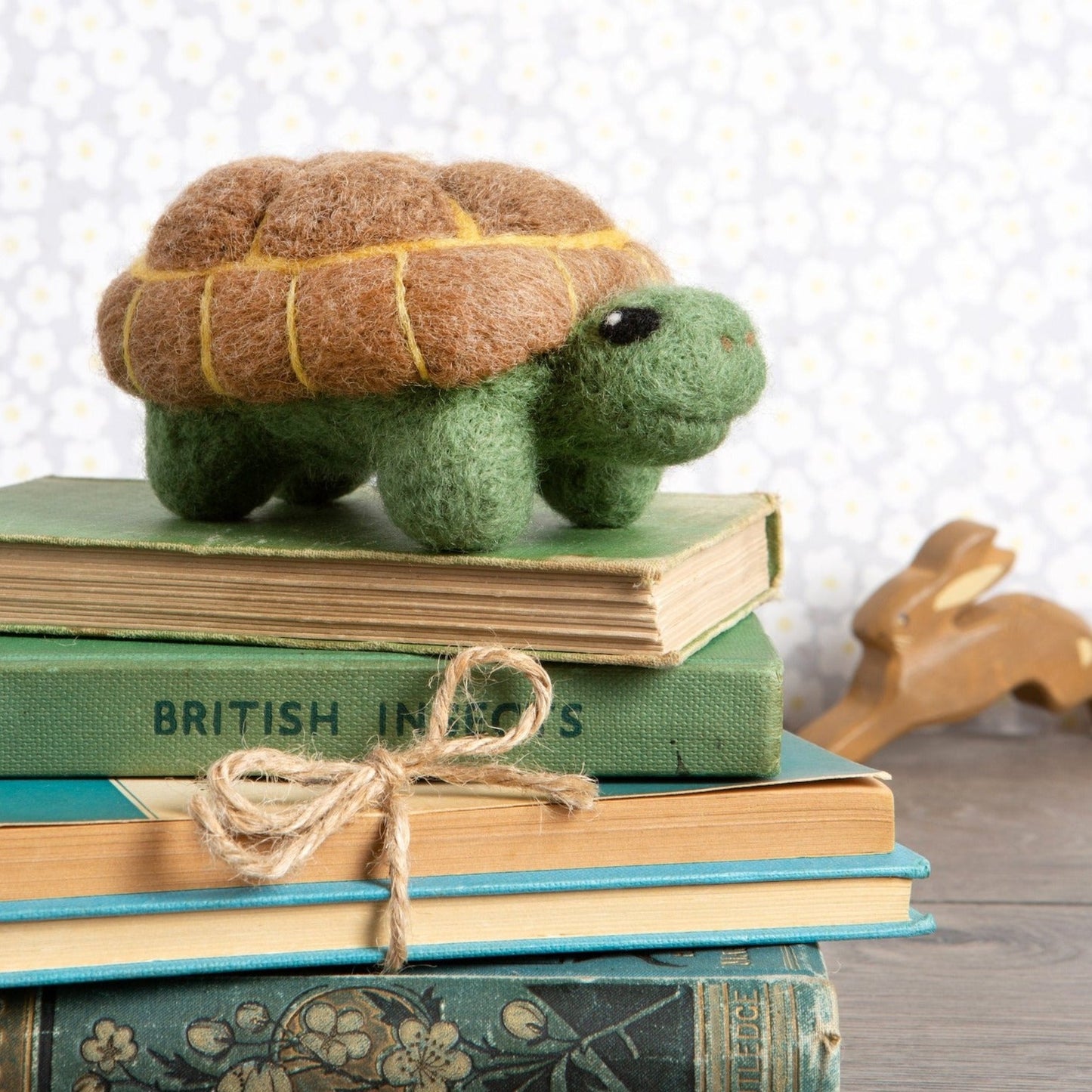 Tortoise Needle Felting Kit for Beginners